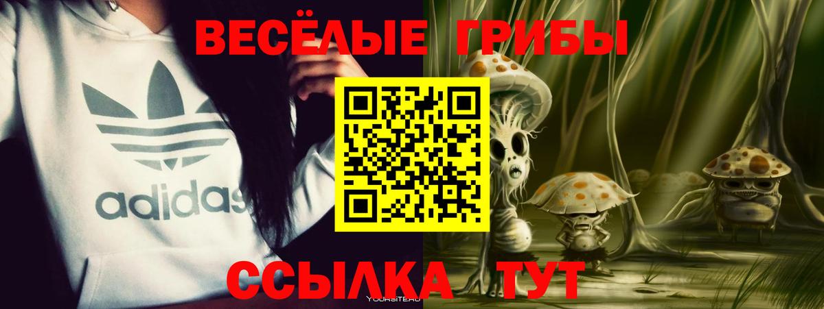 Галлюциногенные грибы мухоморы  Псилоцибиновые грибы Psilocybe  купить закладку  Чапаевск  Вход с VPN 